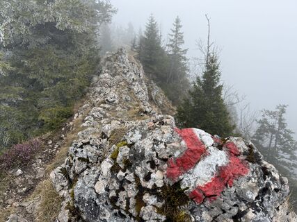 Zdjęcie z Natur_erleben_dg wzdłuż trasy
