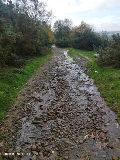 Fotografija s spletne strani Mmizia098 na poti