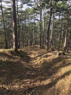 Fotografija s spletne strani Robert Kremlicka na poti