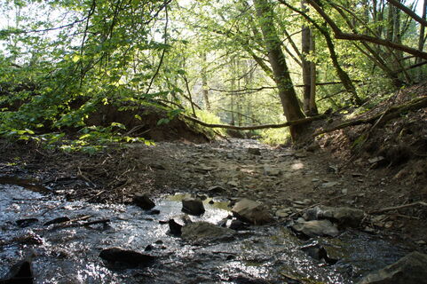 Bachschwinde Walbach