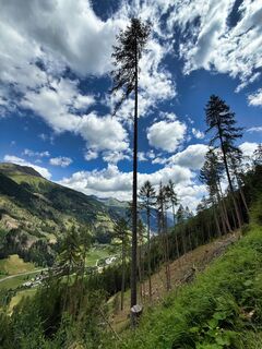 Photo de Nicola Ronchetti le long du parcours