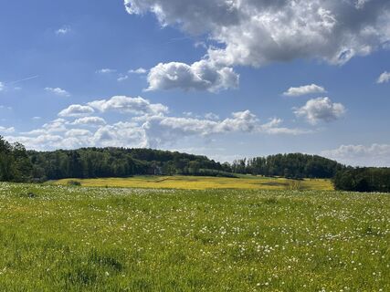 Fotografia z Norbert Herbig na trase