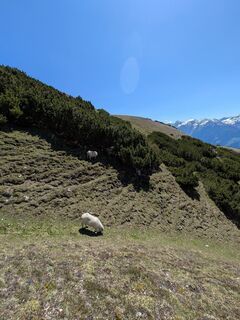 Photo de Martin Glaser le long du parcours