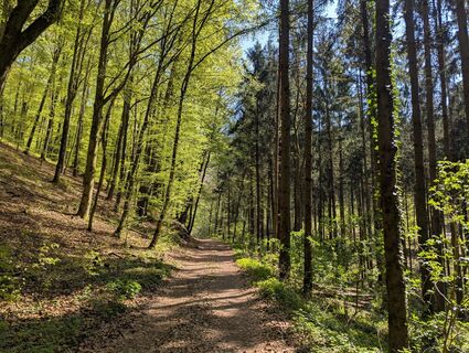 Fotografija s spletne strani karin1108 na poti