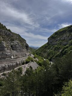 Fotografia z noddy suter na trase