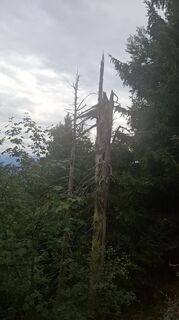 Foto von Günther Forsthuber entlang der Tour