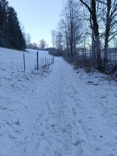 Foto von Gabi H. 1 entlang der Tour