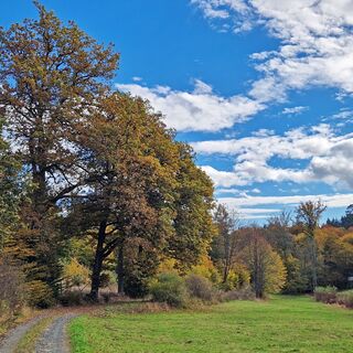 Stippbachtal