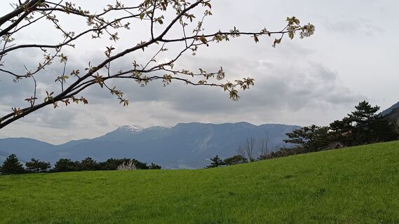 Foto von Bergpirat entlang der Tour