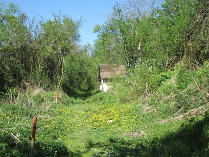 Hohlweg Zeiselberg
