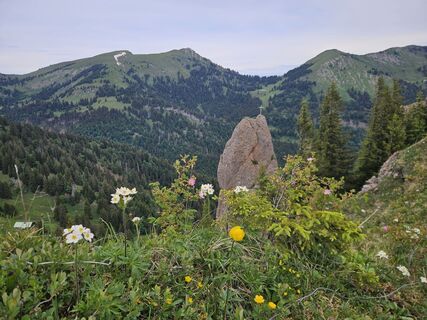 Fotografija s spletne strani hannes.d na poti