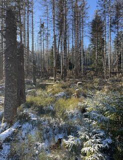 Fotografie z Simon Seiffer na trase
