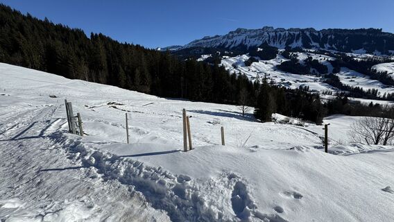 Zdjęcie z peter_oe wzdłuż trasy