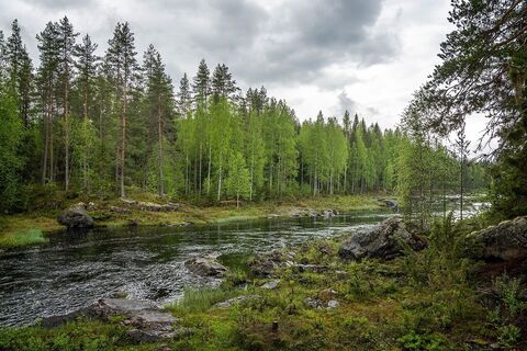 Ala-Koitajoki