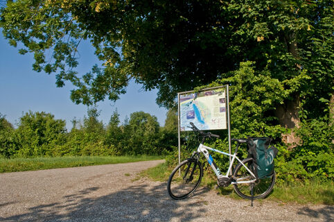 Eriskircher Ried
