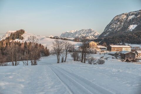 langlaufen_thiersee_(c)ofp (3).jpg