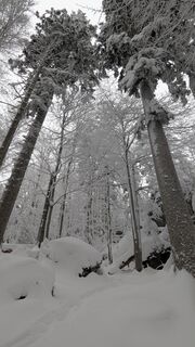 Fotografija s spletne strani TaNja85 na poti