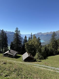 Fotografija s spletne strani Rico Vincenz na poti