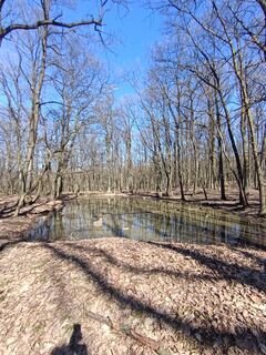 Foto von Julika Jármer entlang der Tour