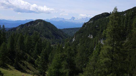 Foto från kriessda under resans gång