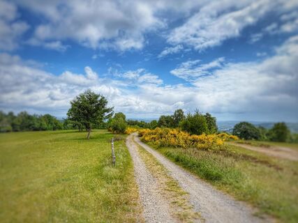 Naturschutzgebiet Heiden und Magerrasen Trupbach