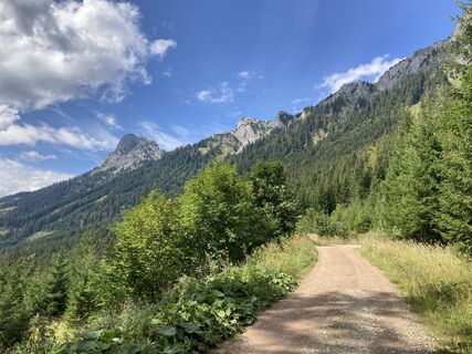 Pfaffenstein