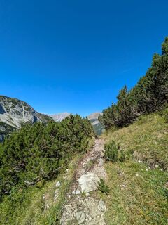 Photo de Martin Glaser le long du parcours