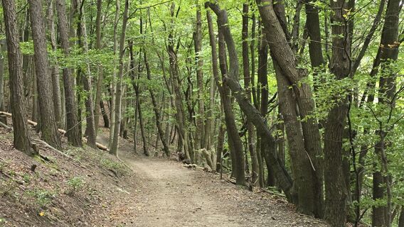 Foto von Hieu Duc Tram entlang der Tour