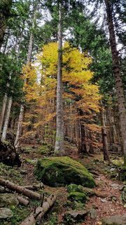 Foto von Fabrizi Mellano entlang der Tour