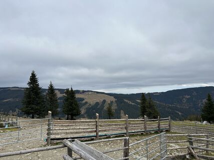 Fotografia z Tom_Pils 2700 na trase