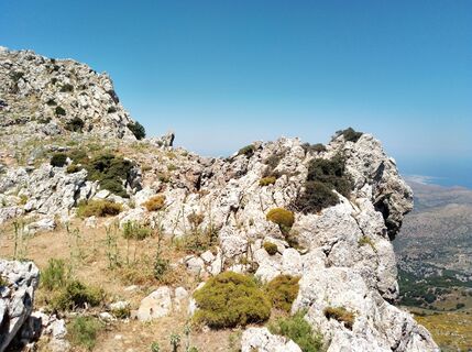 Photo de MopsBiene le long du parcours