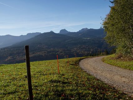 Weg entlang des Burgerwalds - Gibelegg Rundtour