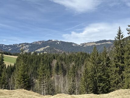 Foto von Similaun entlang der Tour