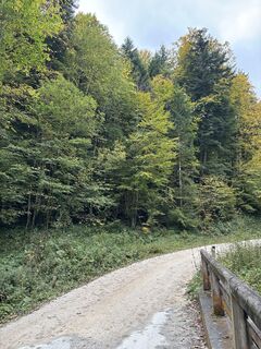 Photo de Heinz Sperl le long du parcours