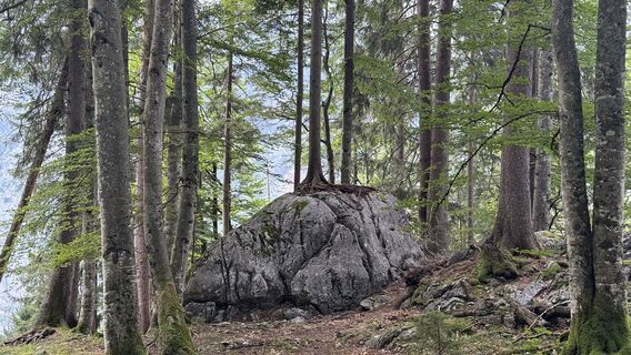 Foto von Henrik Singelmann entlang der Tour