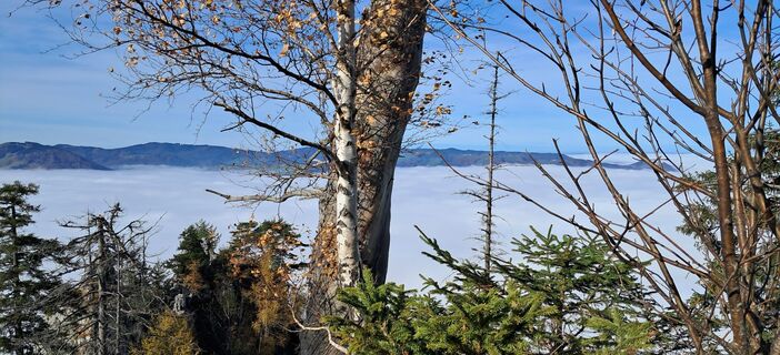 Foto von Ernst1904 entlang der Tour