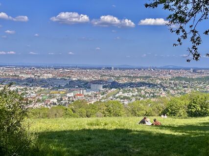 Foto från Sonja Huter under resans gång