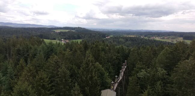 Foto von wanderer55 entlang der Tour