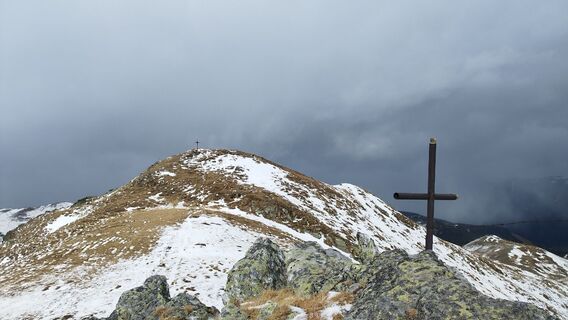 Fotografia z cat na trase