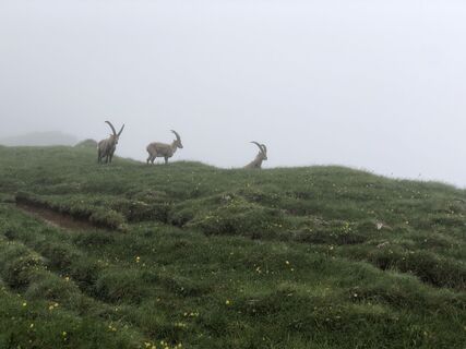 Foto von Robert Hofbauer 1 entlang der Tour