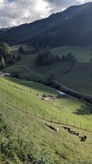 Fotografija s spletne strani Martin Glaser na poti