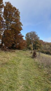 Photo de ROBERTO BONIOTTI le long du parcours