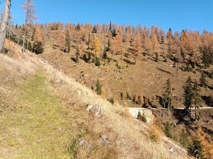 Photo de Harald Bäck le long du parcours