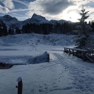 Gantrischsense - Schwefelbergbad Trail