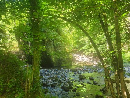 Zdjęcie z Maren Auer wzdłuż trasy