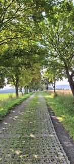 Foto von Odett Rácz entlang der Tour