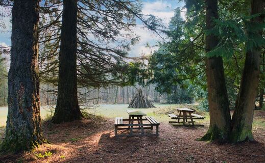 Picknickplatz unter Mammutbäumen im Streitwald am Jagststeig