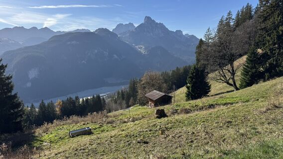 Fotografija s spletne strani peter_oe na poti