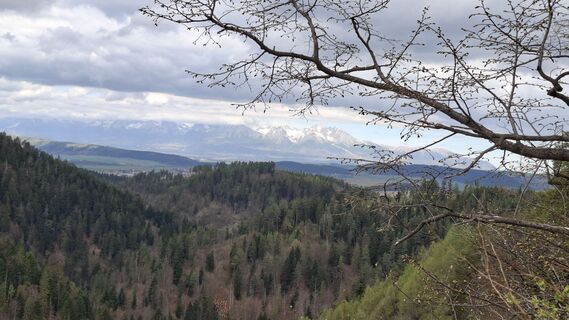 Foto de Vladimira Oleksikova a lo largo del recorrido