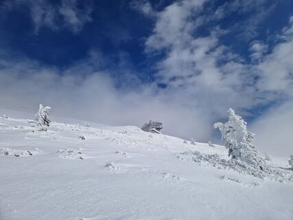 Fotografija s spletne strani MarionFeik na poti